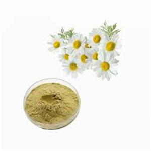 Chamomile Extract