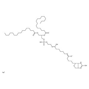 1,2-Dipalmitoyl-sn-glycero-3-PE-N-(cap biotin) (sodium salt)