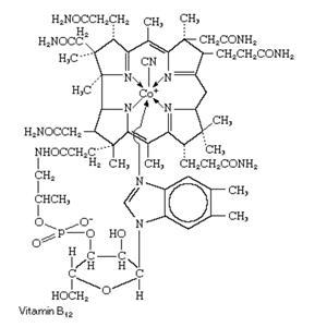 Vitamin-B12-Peptide B12 peptide