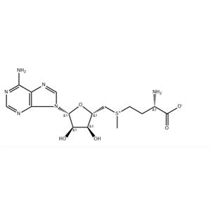 S-Adenosyl-L-methionine