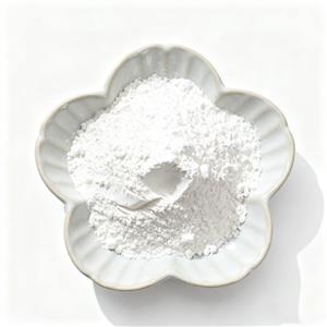 BU-300, or EQUIPOISE