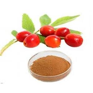 Rose Hip Extract