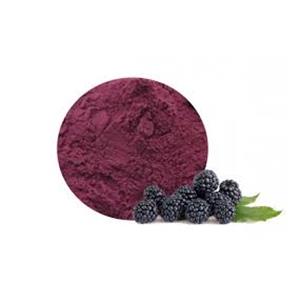 Blackberry Powder