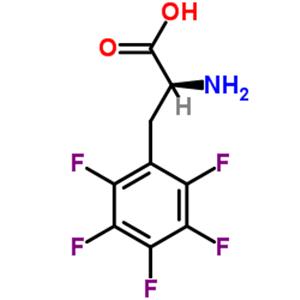 2,3,4,5,6-Pentafluoro-L-phenylalanine