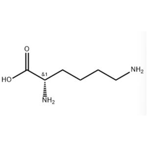 Lysine homopolymer