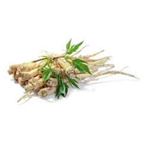 Siberian Ginseng Extract