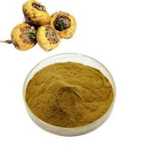 Maca Extract