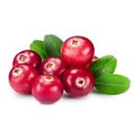 84929-27-1 Cranberry Extract