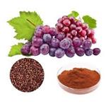84929-27-1 Grape Seed Extract
