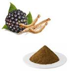 7374-79-0 Siberian Ginseng Extract