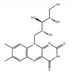 83-88-5 Riboflavin