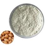 133876-92-3 Nattokinase 