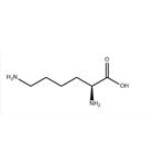 56-87-1 L-Lysine