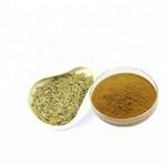 77-52-1 Ursolic Acid