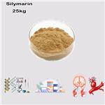 65666-07-1 Silymarin 80% by UV