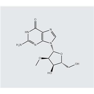 2'-O-Methylguanosine