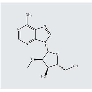 2'-O-Methyladenosine