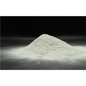 Ferrous Sulphate monohydrate