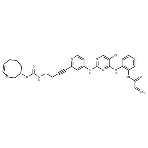 ERK1/2 inhibitor 9