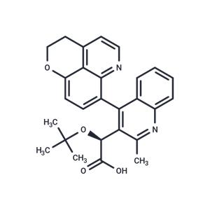 BI 224436