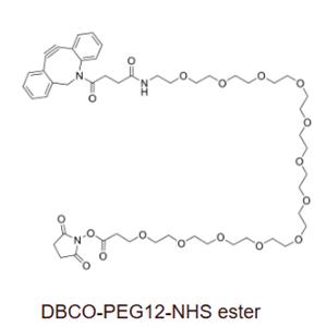 DBCO-PEG12-NHS ester