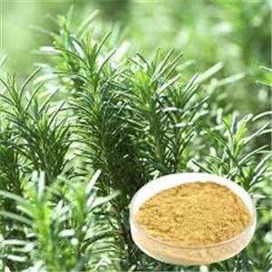 Rosemary acid