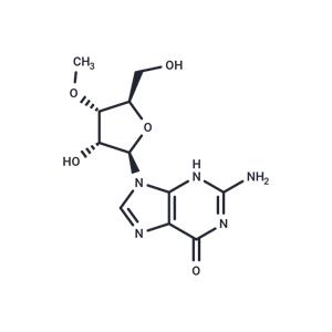 3'-O-Methyl guanosine