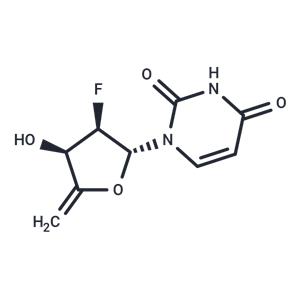 4',5'-Didehydro-2',5'-dideoxy-2'-fluorouridine