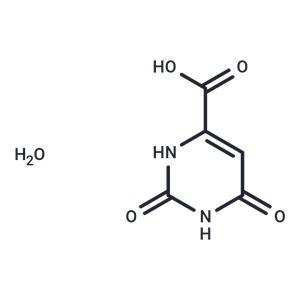 Orotic acid monohydrate