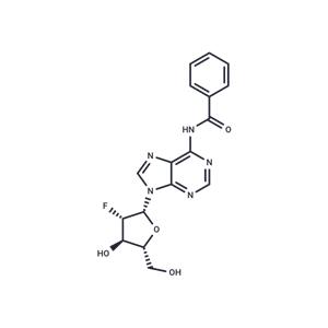 N6-Benzoyl-2'-fluoro-2'-deoxyarabinoadenosine