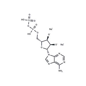 Adenosine 5'-phosphosulfate (sodium salt)