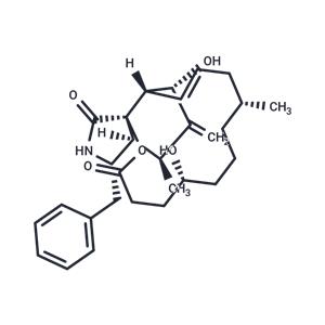 Dihydrocytochalasin B