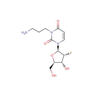 2'-Deoxy-2'-fluoro-N3-(3-aminopropyl)uridine