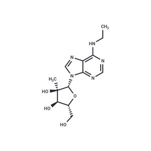 N6-Ethyl-2'-C-methyladenosine