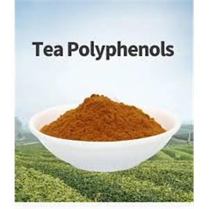 tea Polyphenols