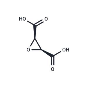 cis-Epoxysuccinic acid