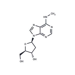 N6-Methyldeoxyadenosine