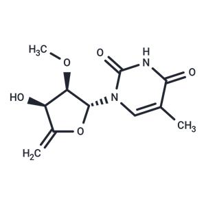 4',5'-Didehydro-2'-O-methyl-5-methyluridine