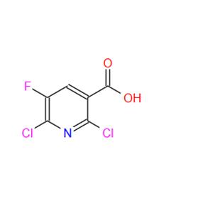 2,6-Dichloro-5-fluoronicotinic acid