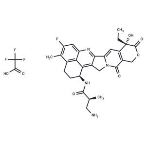 NH2-methylpropanamide-Exatecan TFA