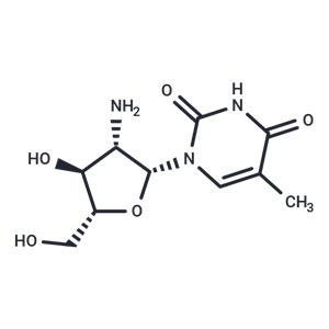 2'-Amino-2'-deoxy-b-D-arabino-5-methyl uridine