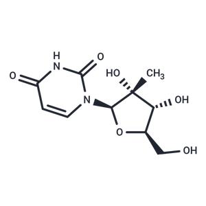 2'-C-Methyl uridine