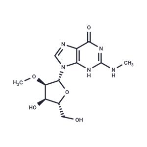 2'-O-Methyl-N2-methylguanosine