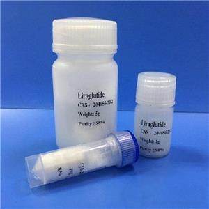 Liraglutide