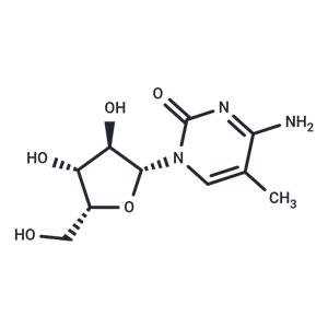 1-(b-D-Xylofuranosyl)-5-methylcytosine