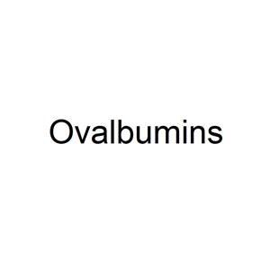 Ovalbumin