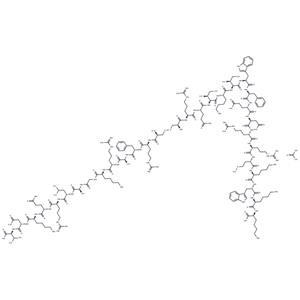 PKC β pseudosubstrate acetate
