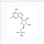 59-05-2 Methotrexate