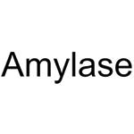 Amylase pictures