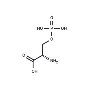 O-Phospho-L-serine
